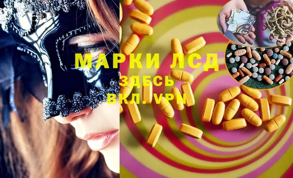 индика Баксан