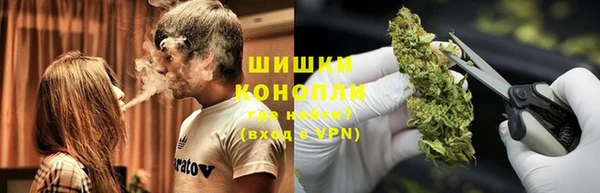 индика Баксан