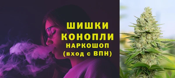 PSILOCYBIN Лиски