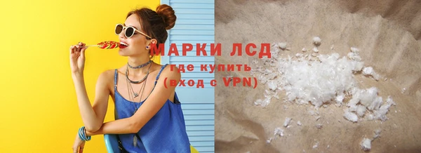 индика Баксан