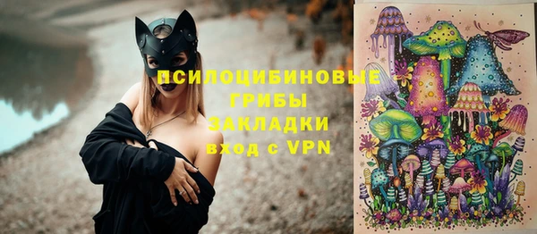 индика Баксан