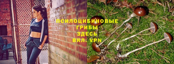 герыч Балахна